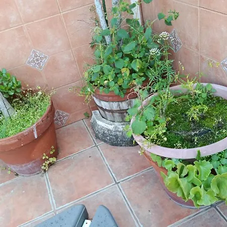 Casa Recreo בית נופש