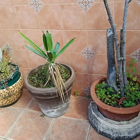 Casa Recreo בית נופש