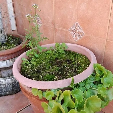 בית נופש Casa Recreo קדיז